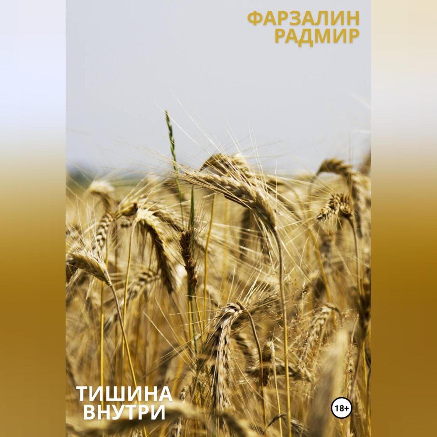 Обложка книги «Тишина внутри»