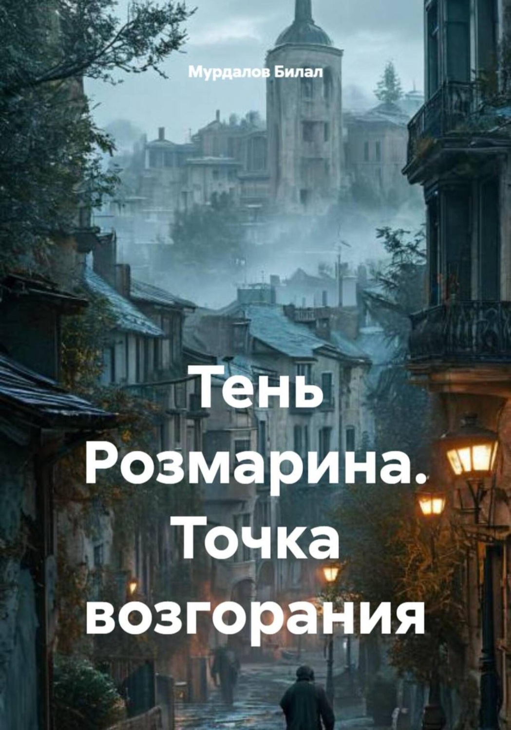 Обложка книги «Тень Розмарина. Точка возгорания»