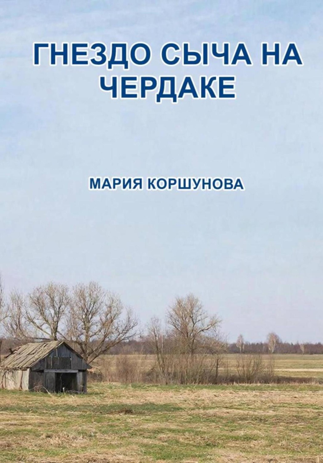 Обложка книги «Гнездо сыча на чердаке»