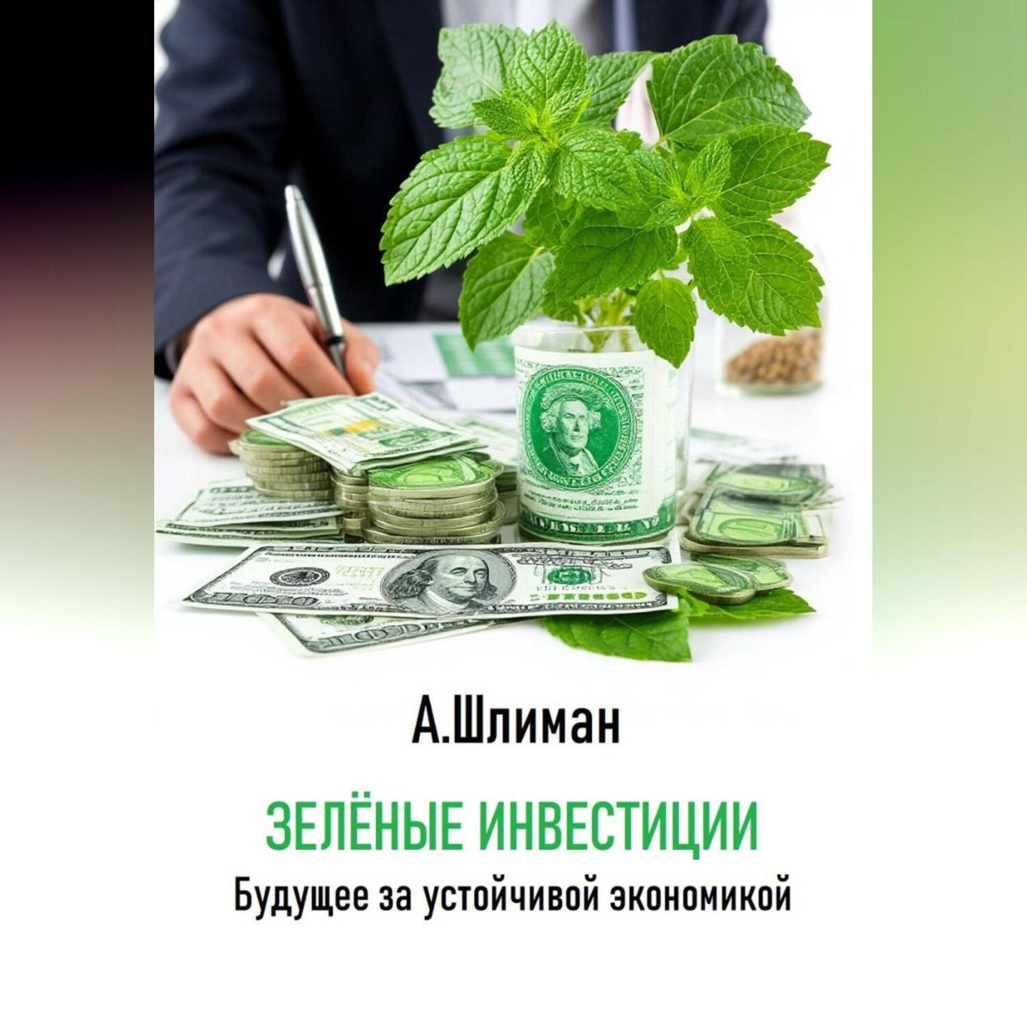 Обложка книги «Зеленые инвестиции. Будущее за устойчивой экономикой»