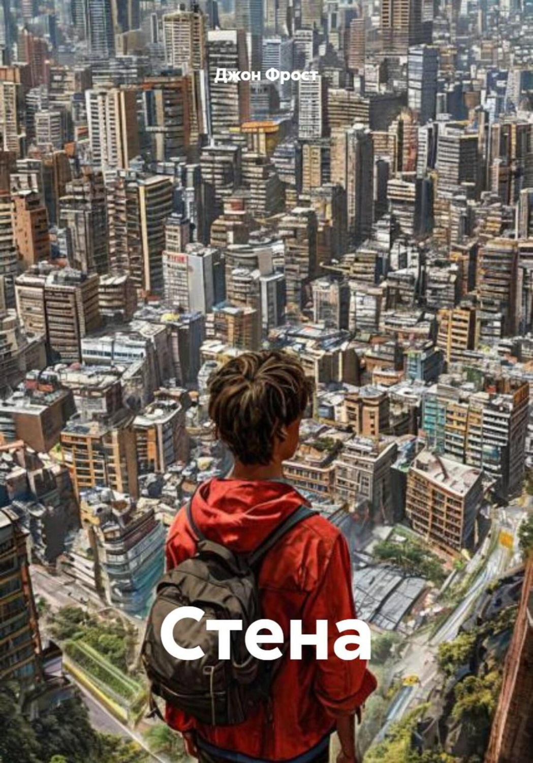Обложка книги «Стена»