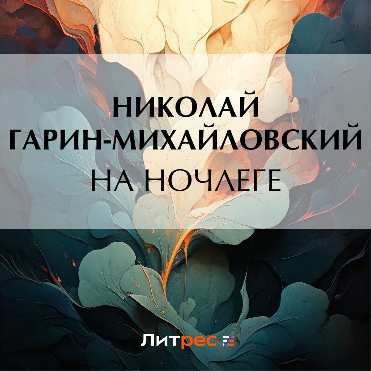 Обложка книги «На ночлеге»