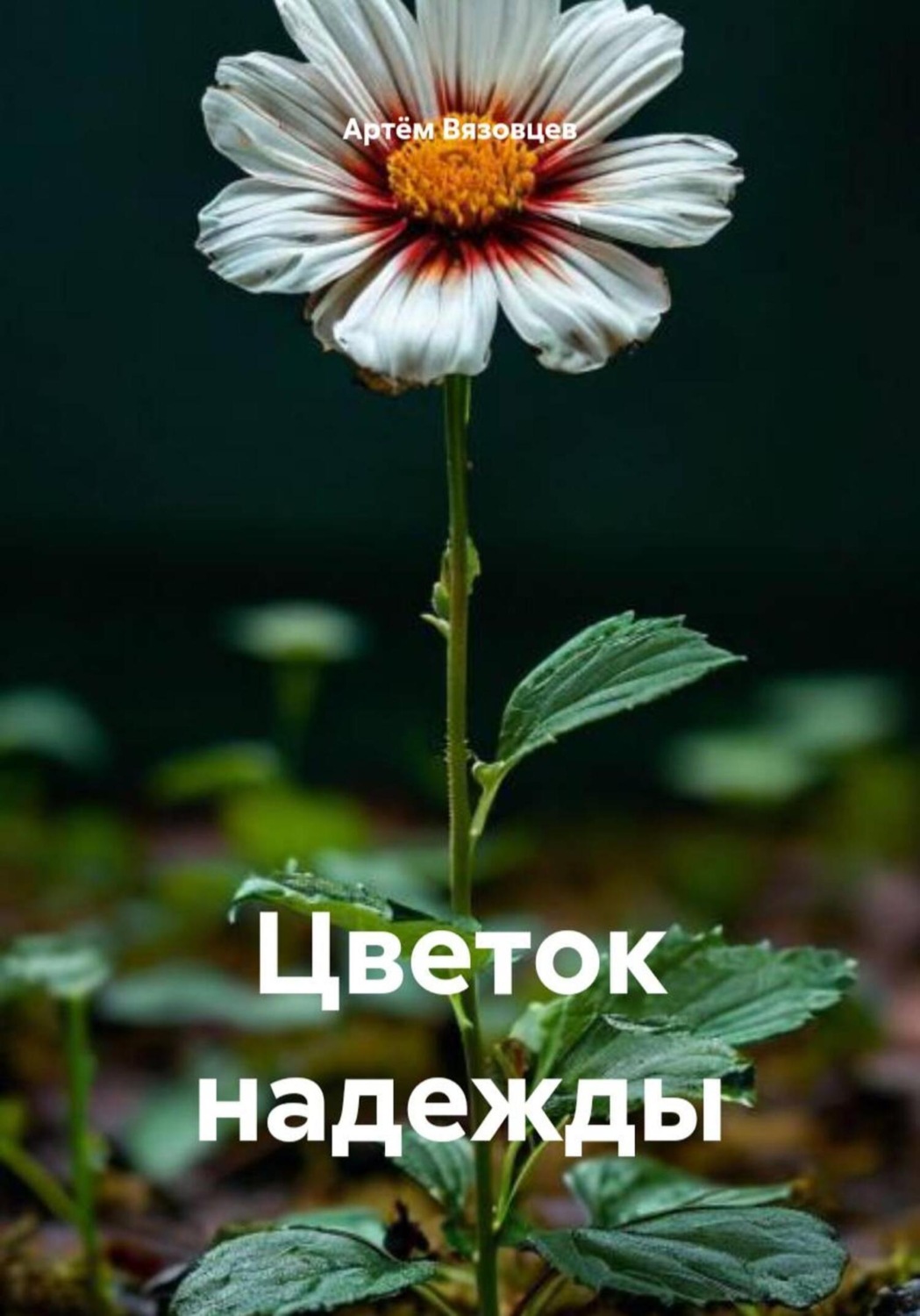 Обложка книги «Цветок надежды»