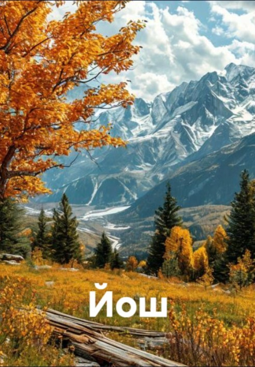 Обложка книги «Йош»