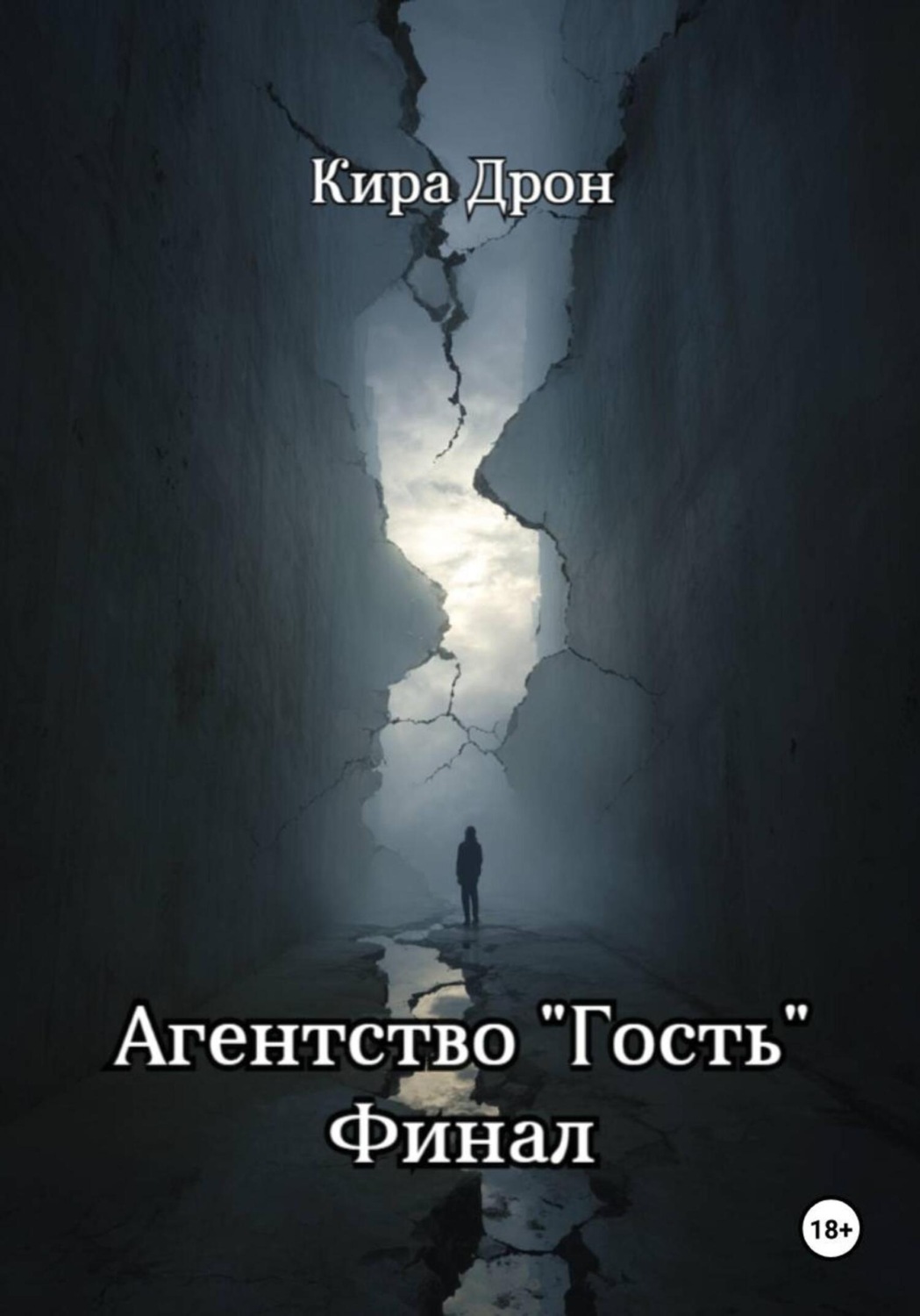 Обложка книги «Агентство «Гость». Финал»