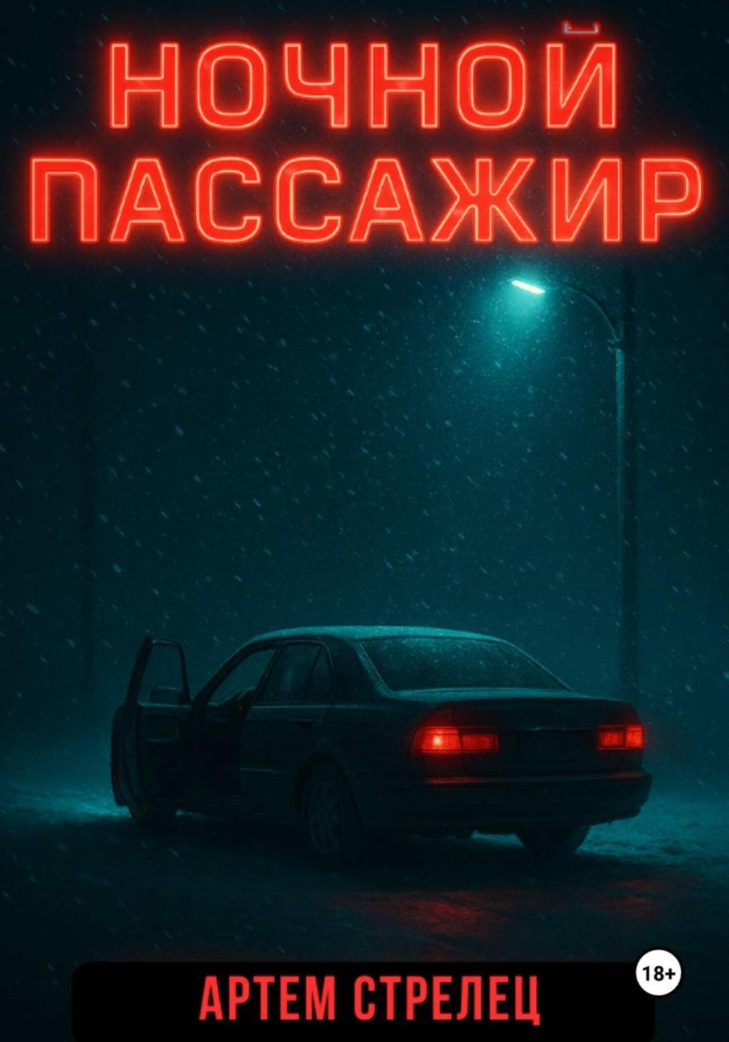 Обложка книги «Ночной пассажир»
