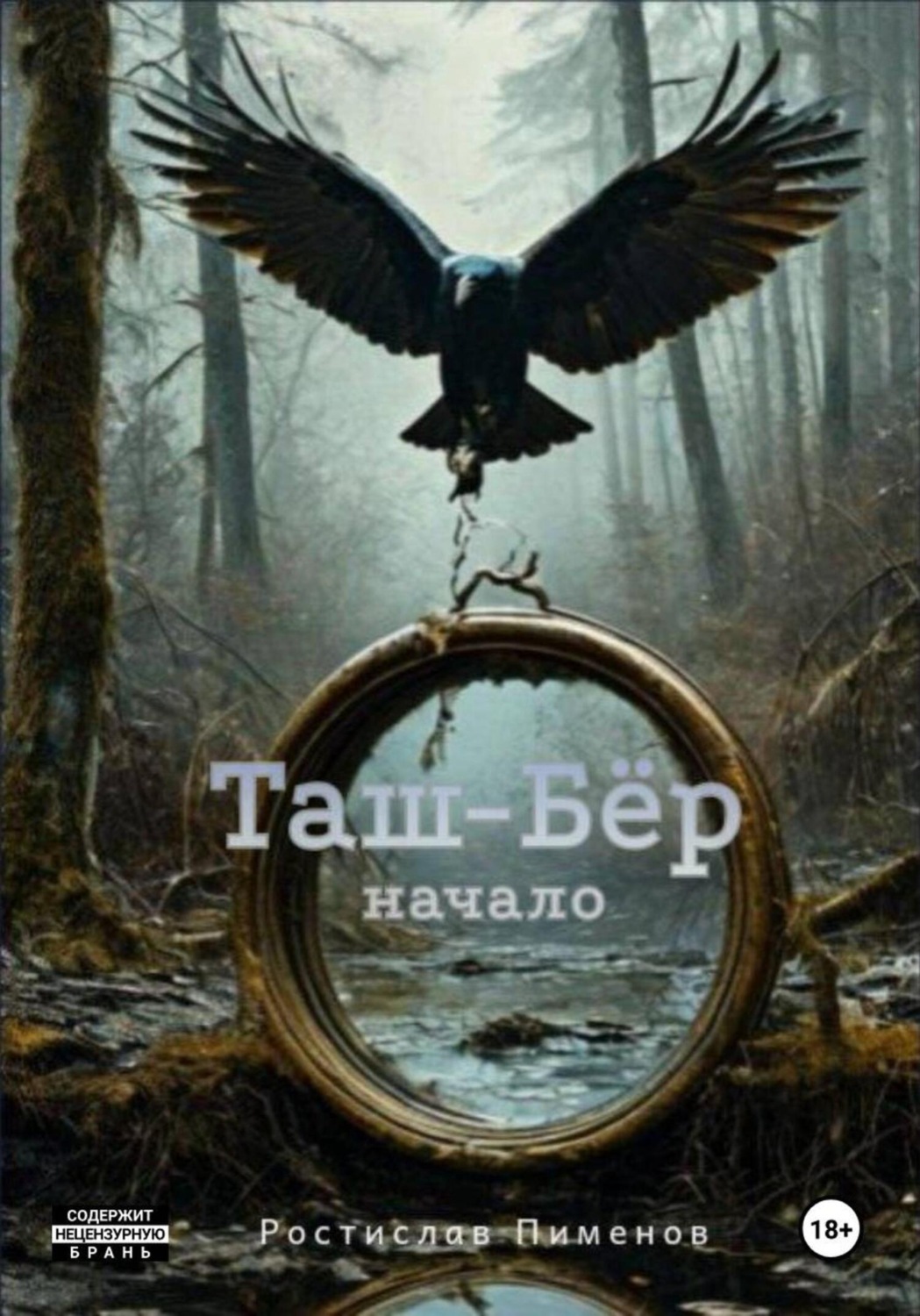Обложка книги «Таш-Бёр (Начало)»