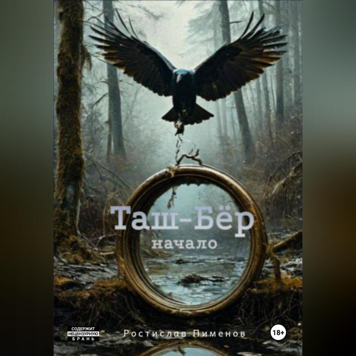 Обложка книги «Таш-Бёр начало»
