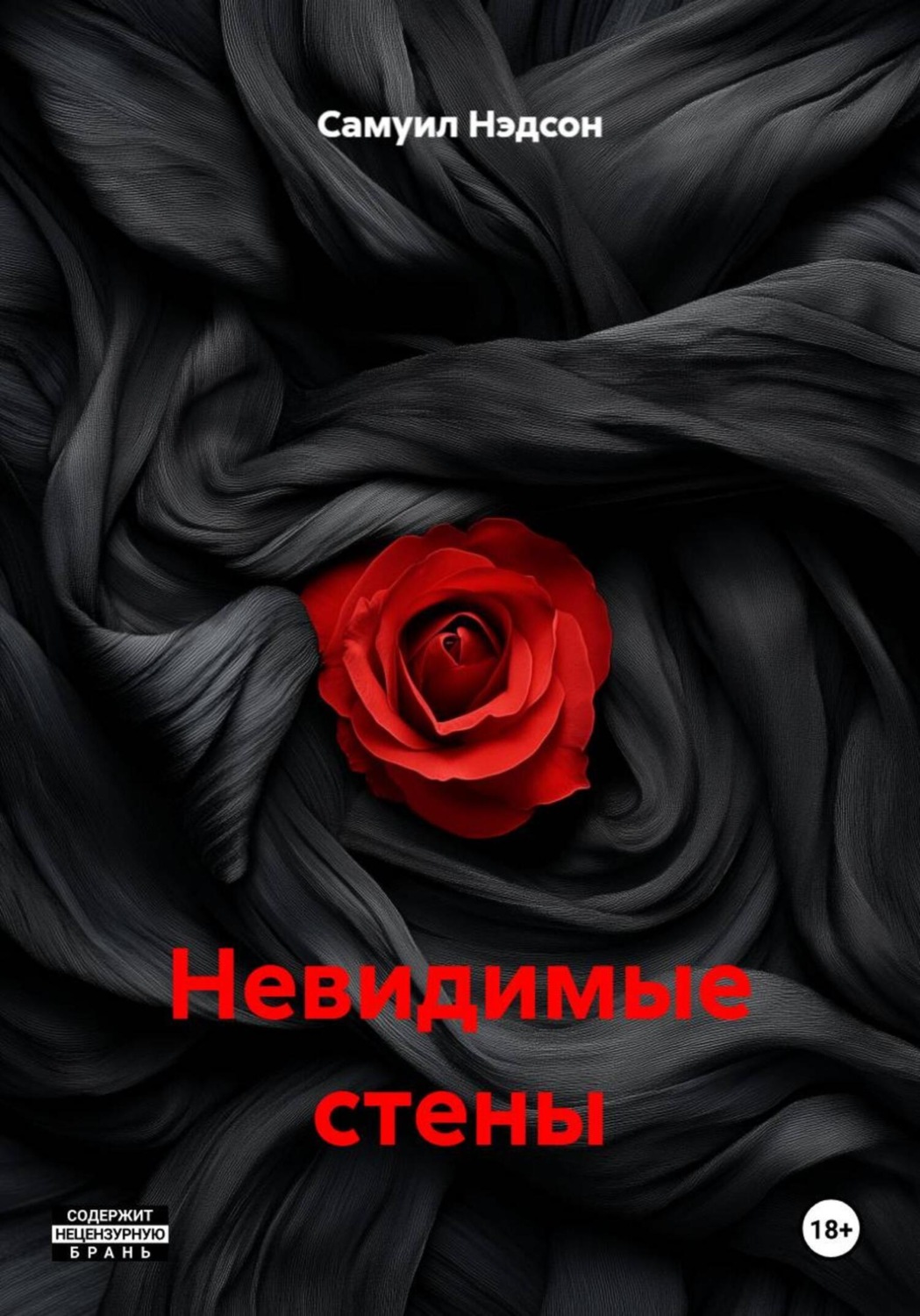 Обложка книги «Невидимые стены»