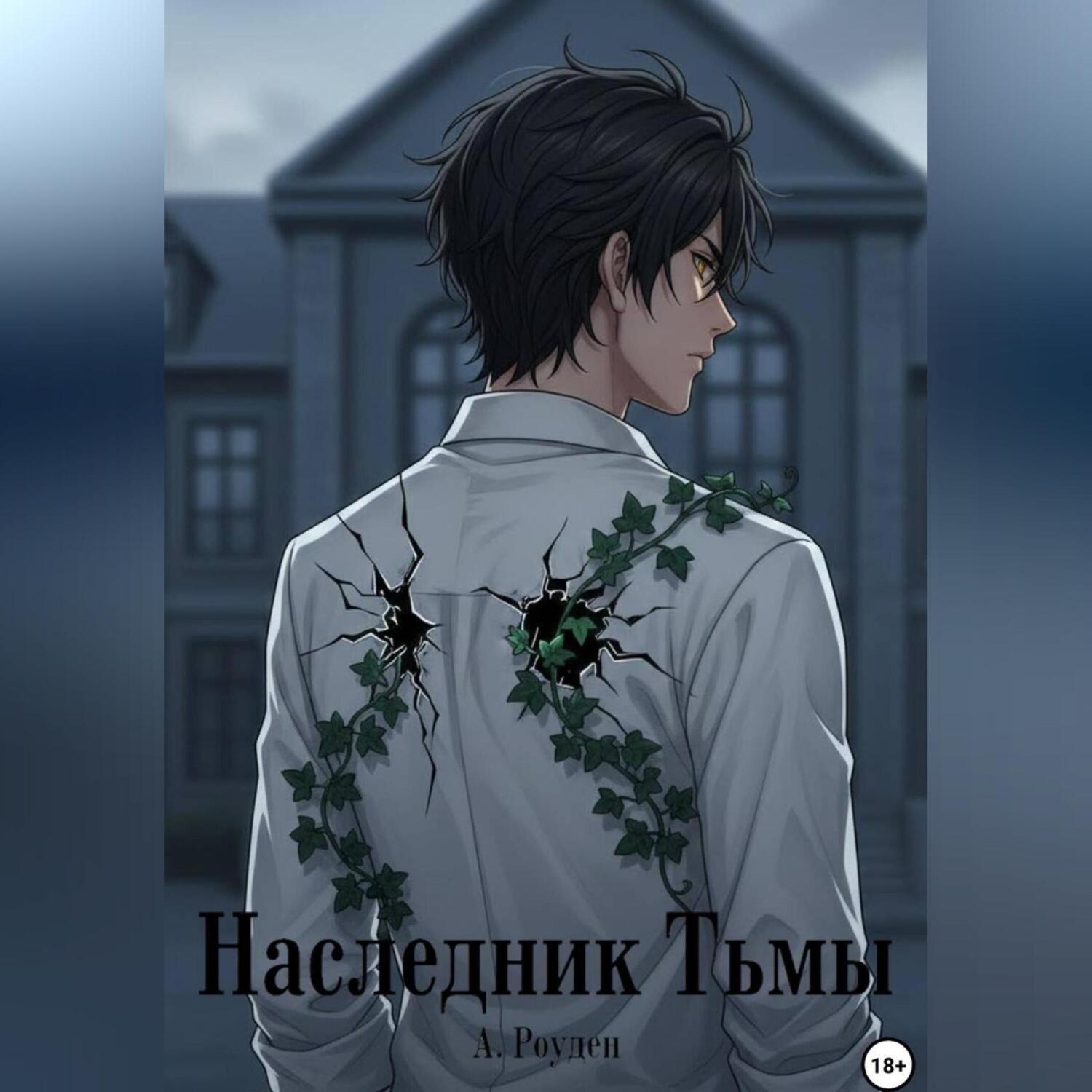 Обложка книги «Наследник Тьмы»