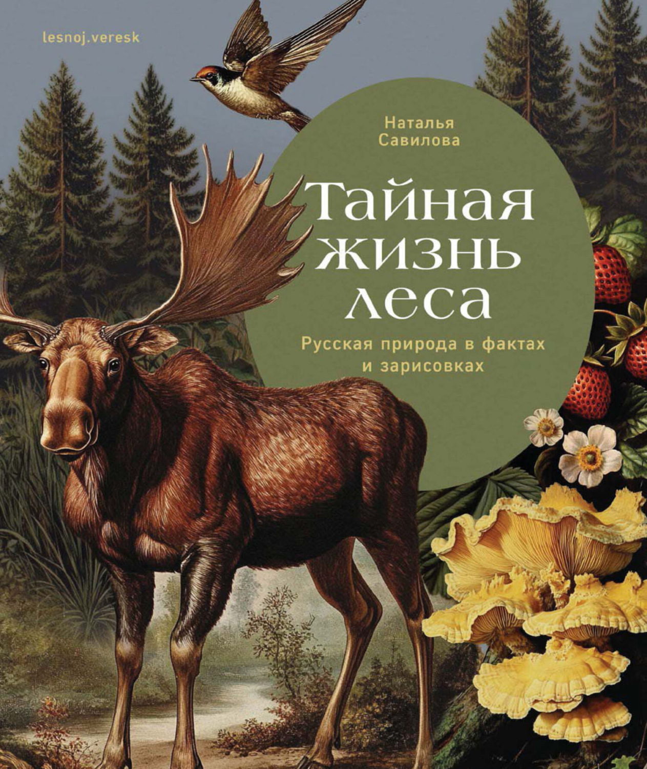 Обложка книги «Тайная жизнь леса. Русская природа в фактах и зарисовках»