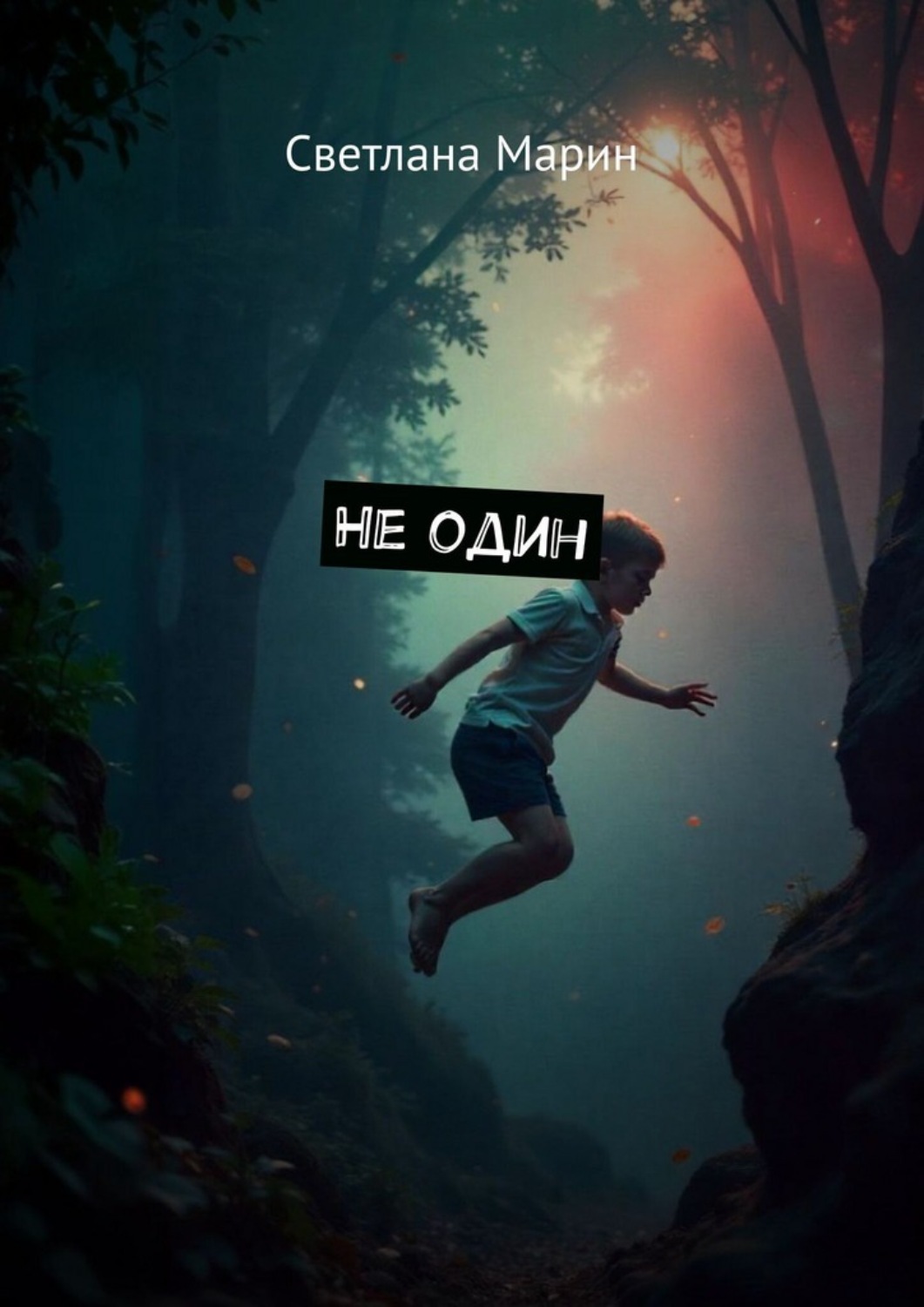 Обложка книги «Не один»