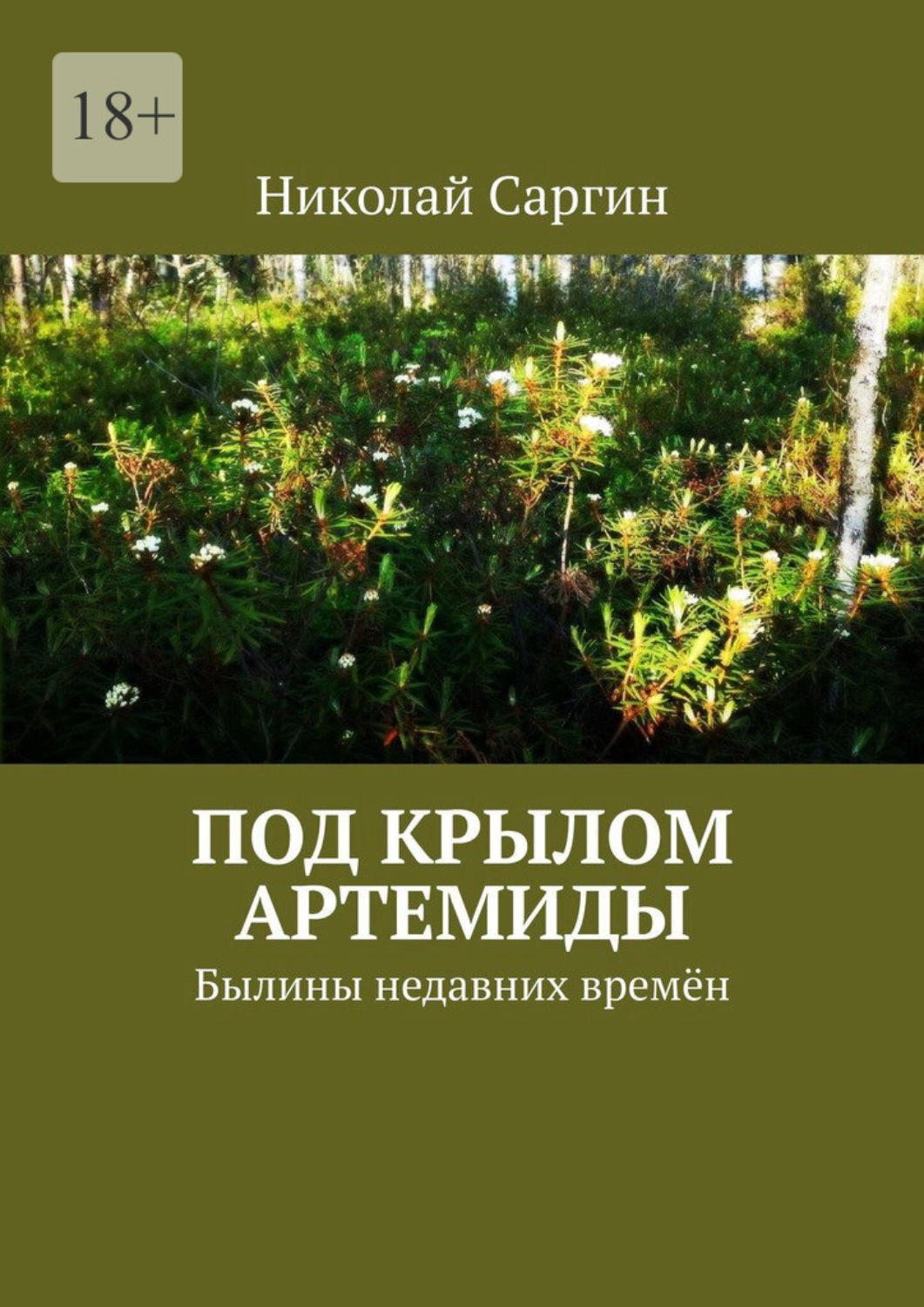 Обложка книги «Под крылом Артемиды. Былины недавних времён»