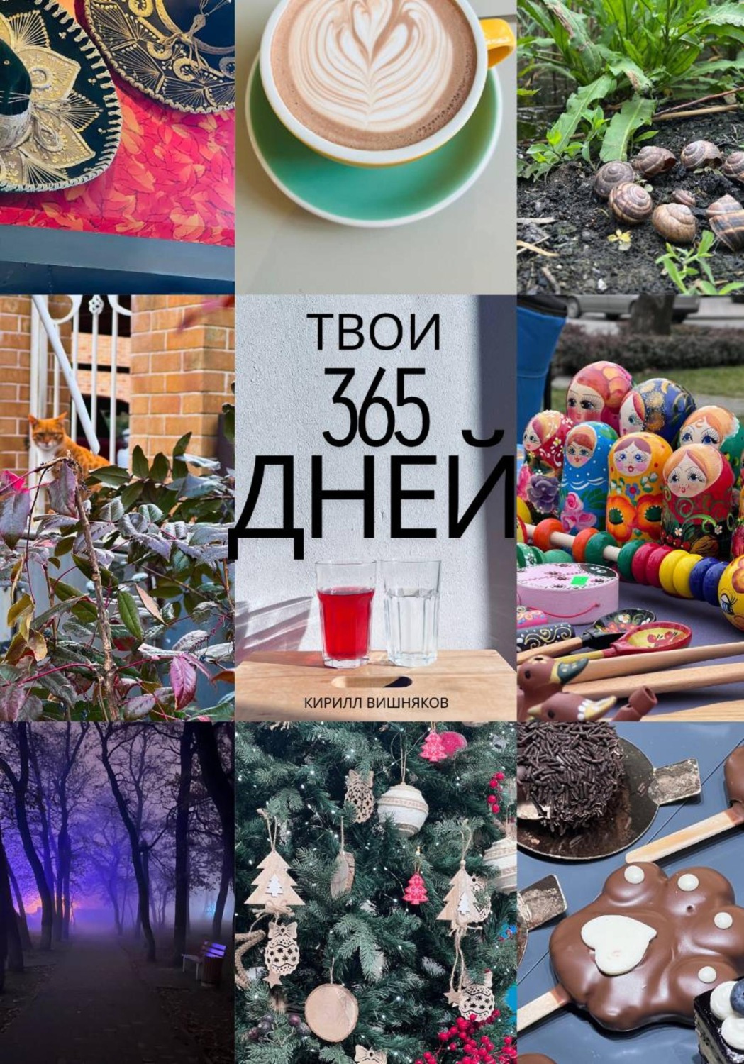 Обложка книги «Твои 365 Дней»