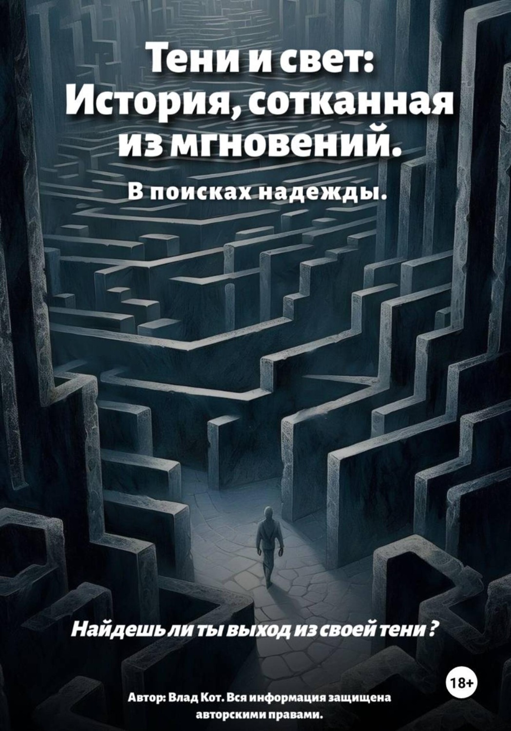 Обложка книги «Тени и свет: История, сотканная из мгновений»