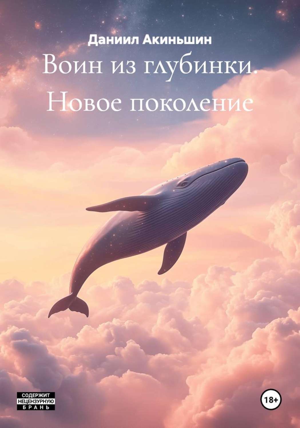 Обложка книги «Воин из глубинки. Новое поколение»