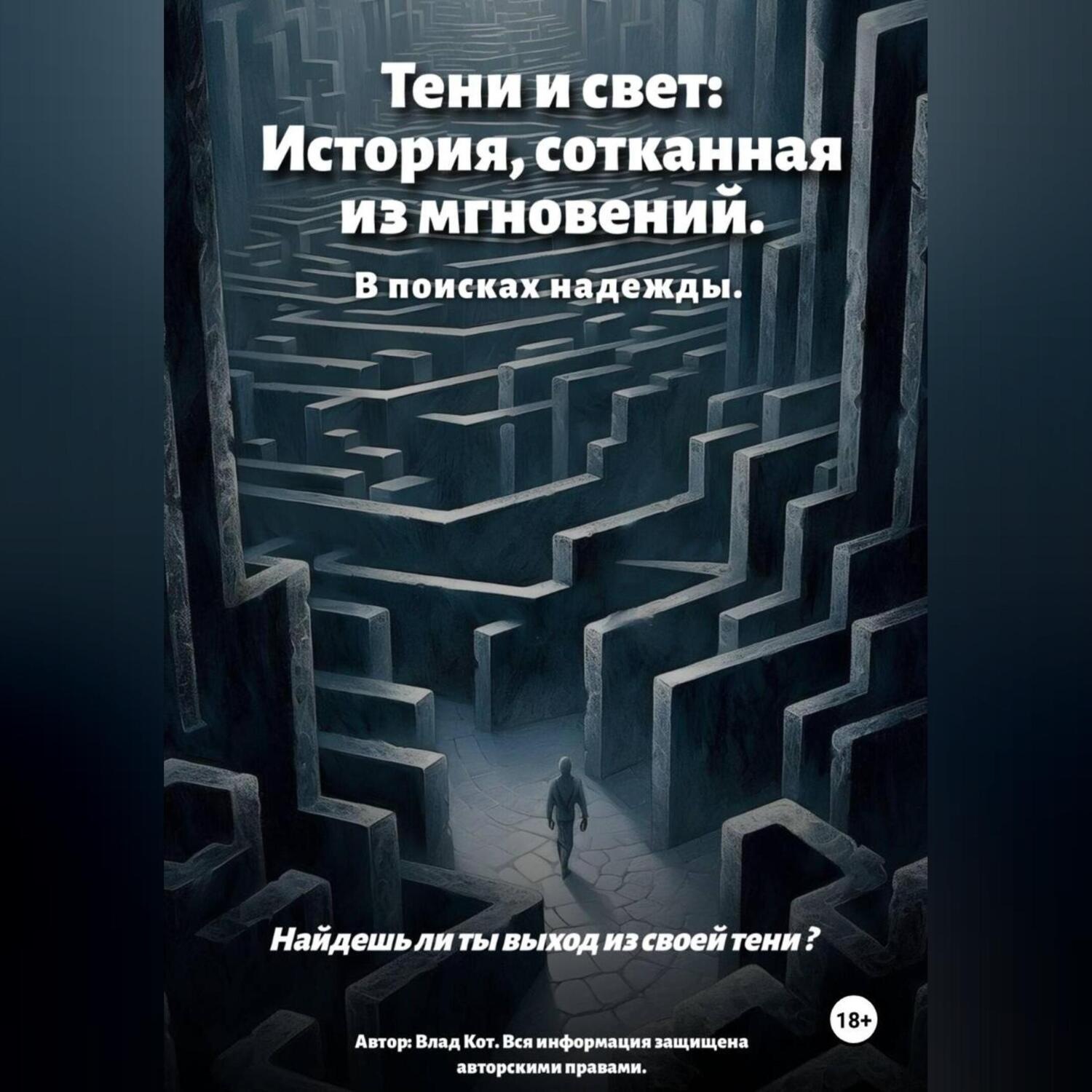 Обложка книги «Тени и свет: История, сотканная из мгновений»