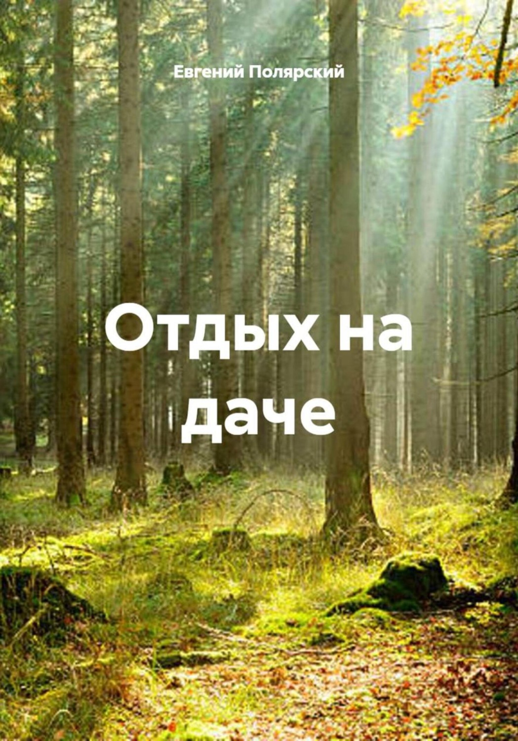 Обложка книги «Отдых на даче»