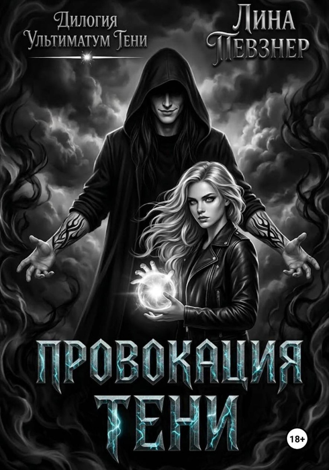 Обложка книги «Провокация тени»