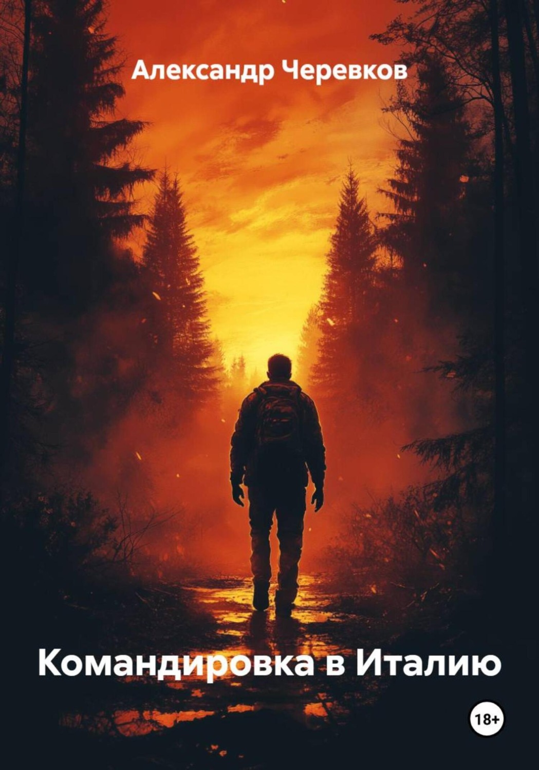 Обложка книги «Командировка в Италию»