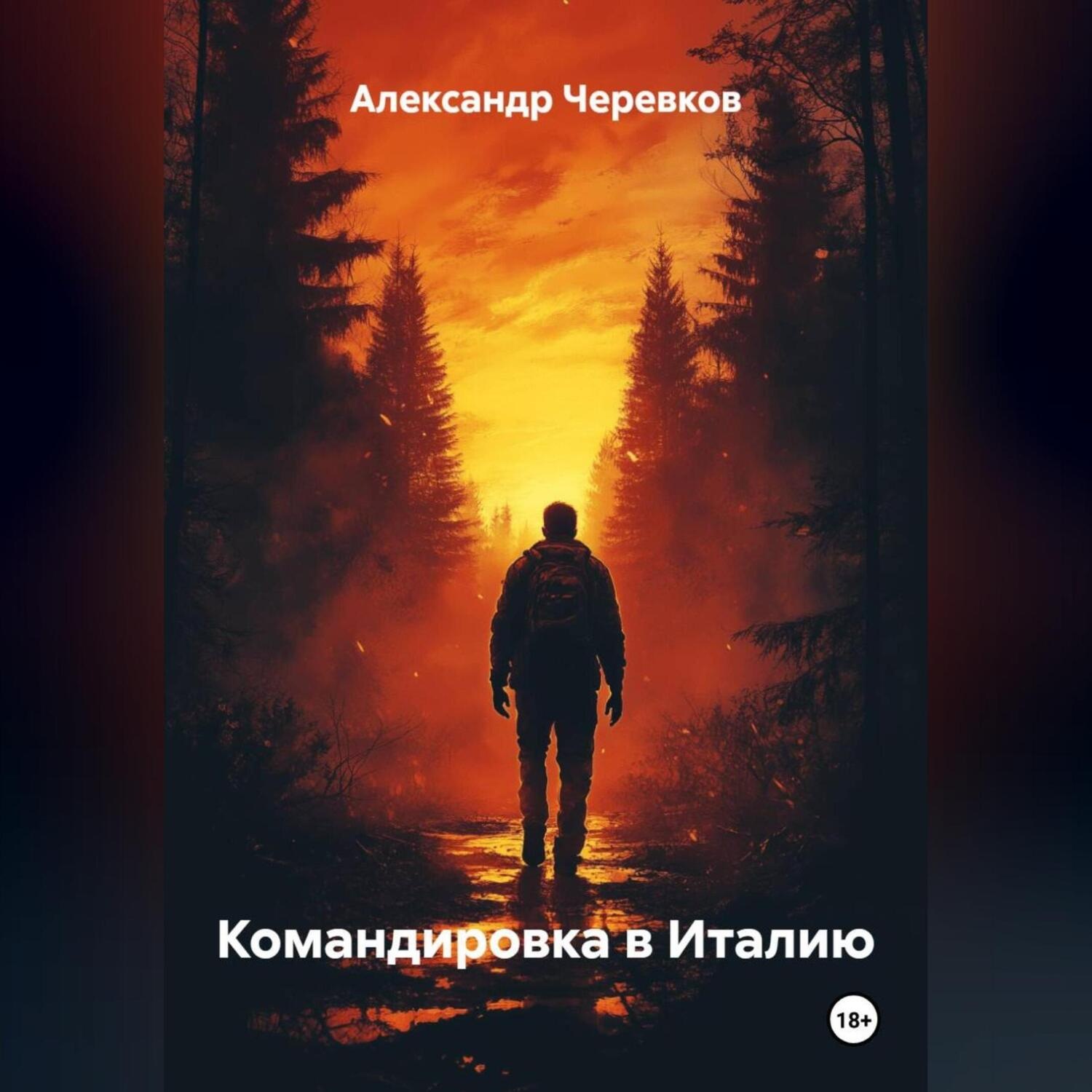 Обложка книги «Командировка в Италию»
