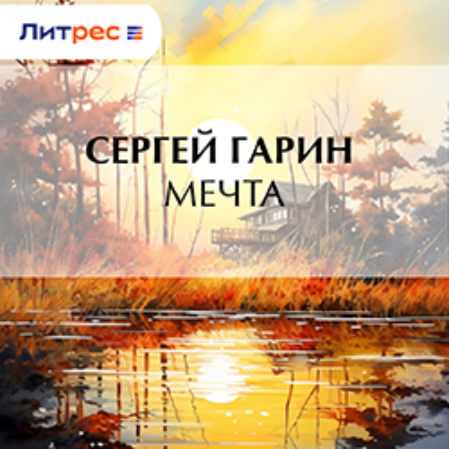 Обложка книги «Мечта»