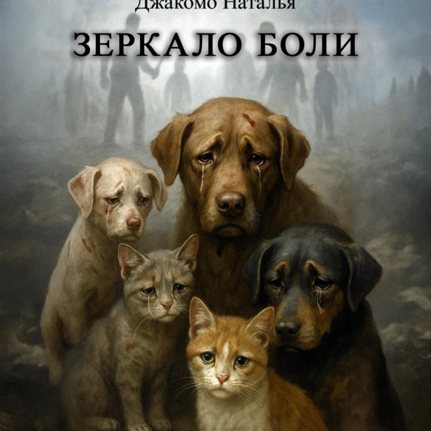 Обложка книги «Зеркало боли»