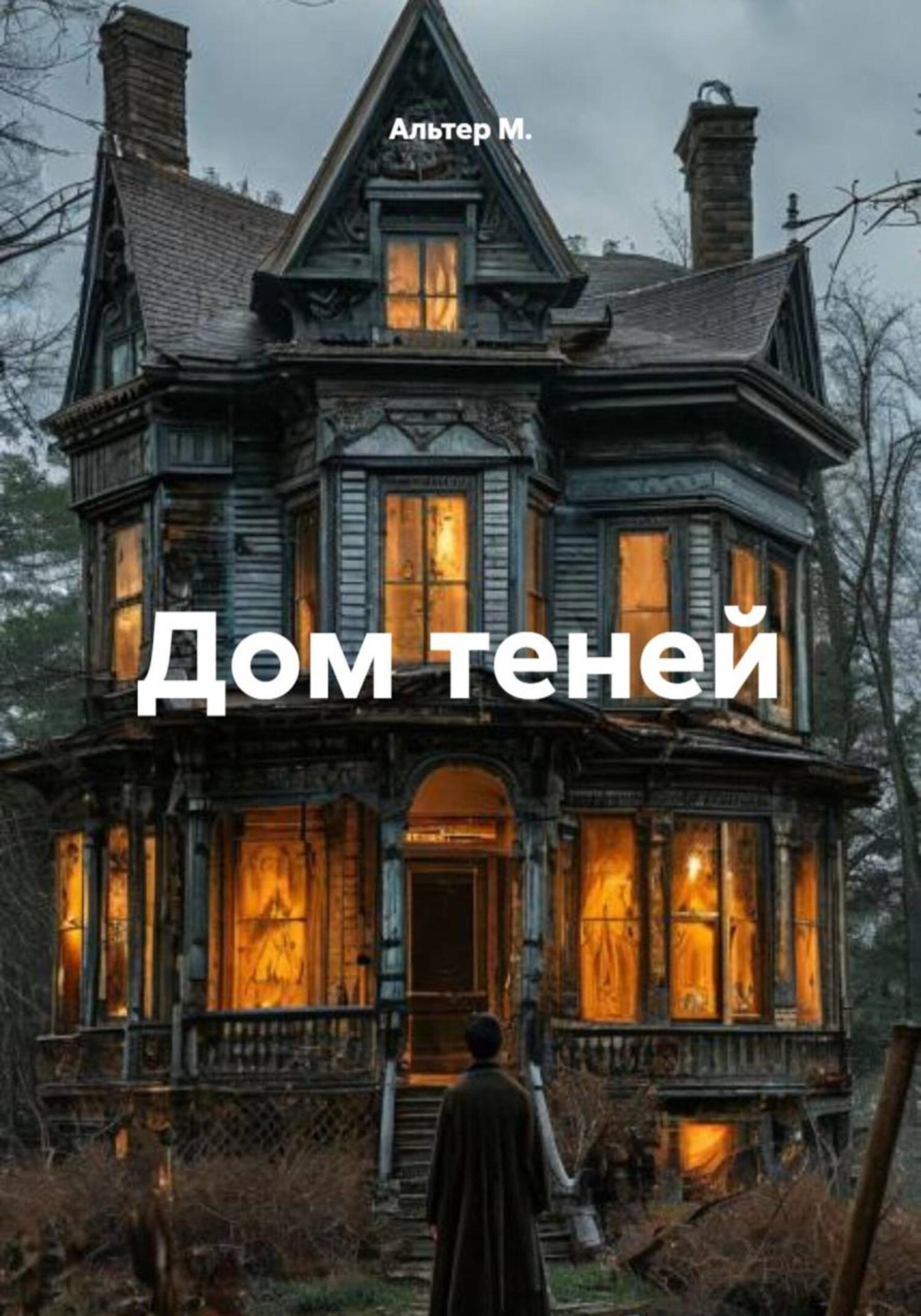 Обложка книги «Дом теней»