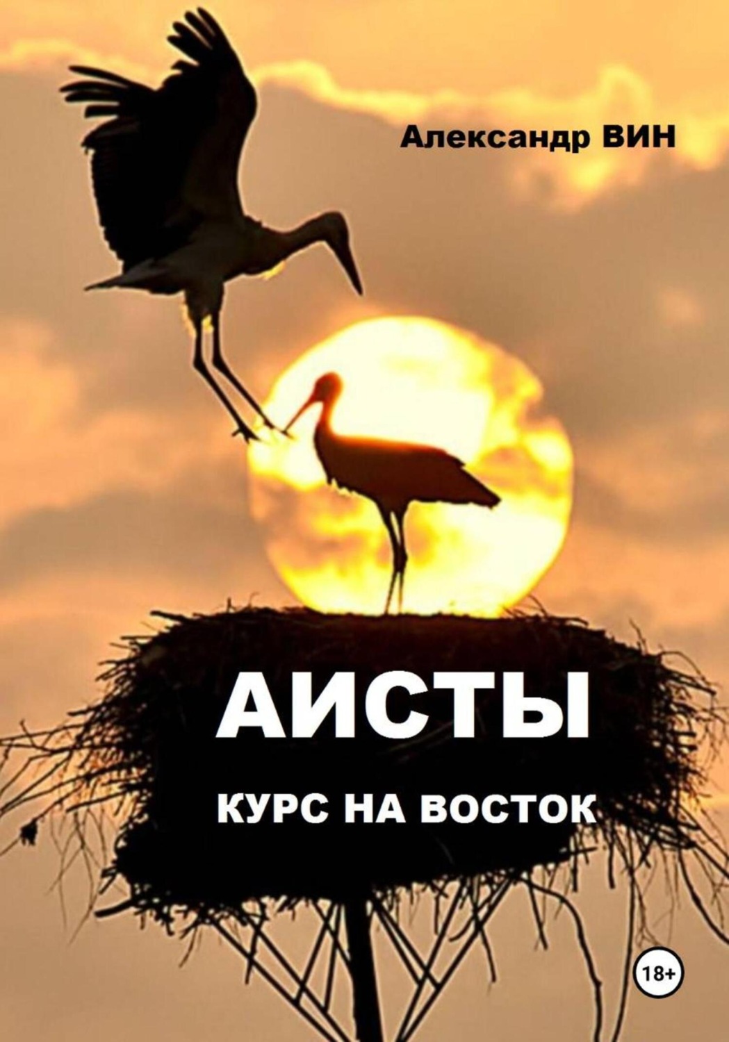 Обложка книги «АИСТЫ. КУРС НА ВОСТОК»