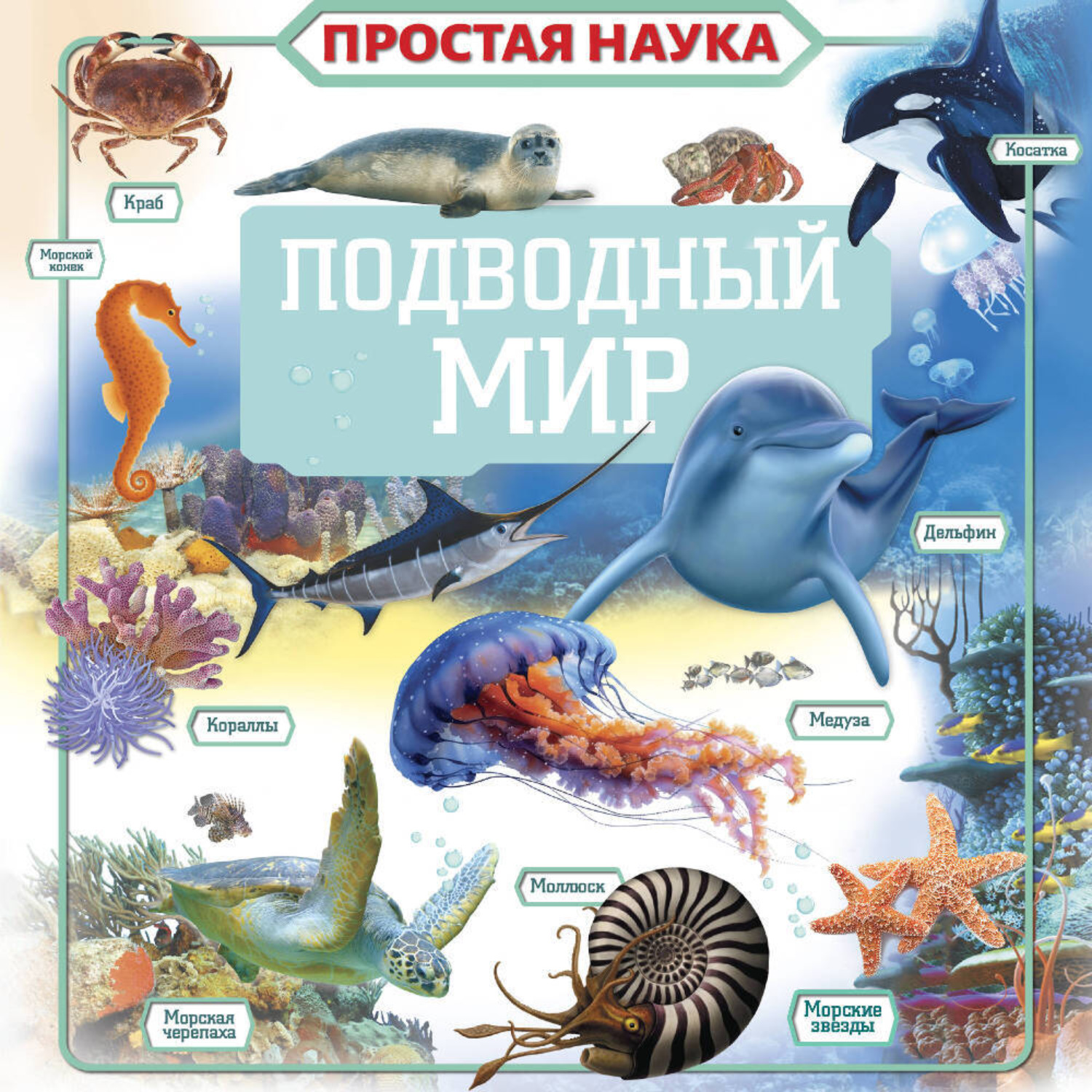 Обложка книги «Подводный мир»