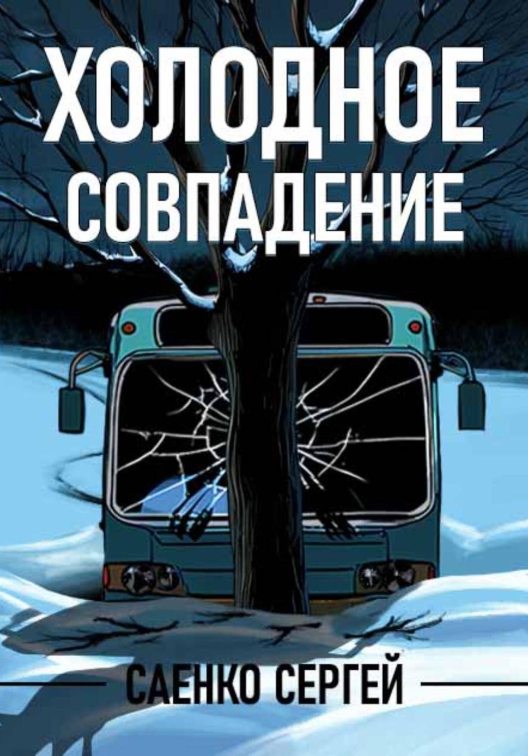 Обложка книги «Холодное совпадение»