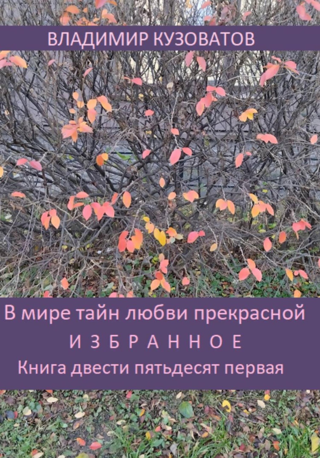 Обложка книги «В мире тайн любви прекрасной. Избранное. Книга двести пятьдесят первая»