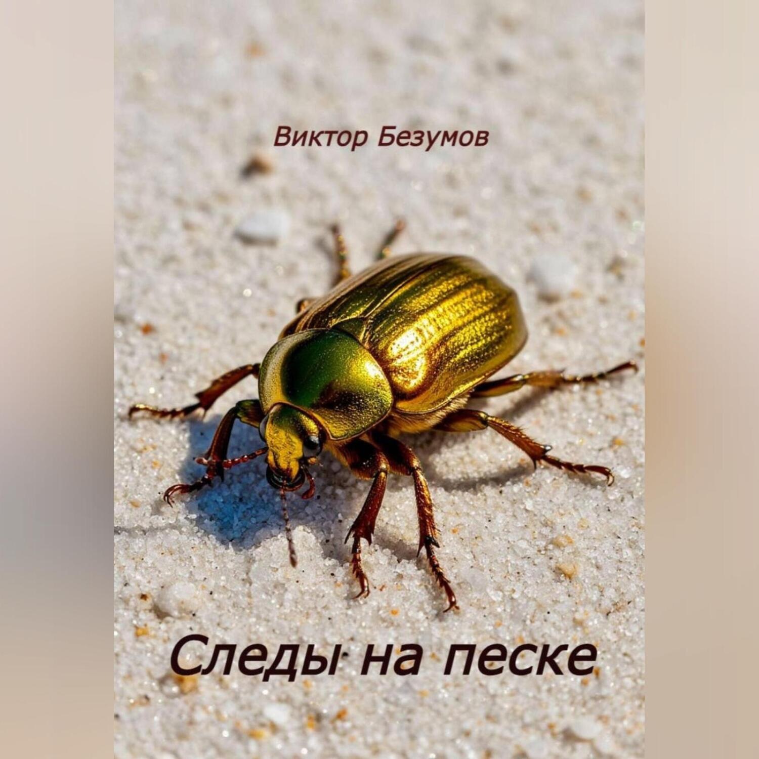 Обложка книги «Следы на песке»