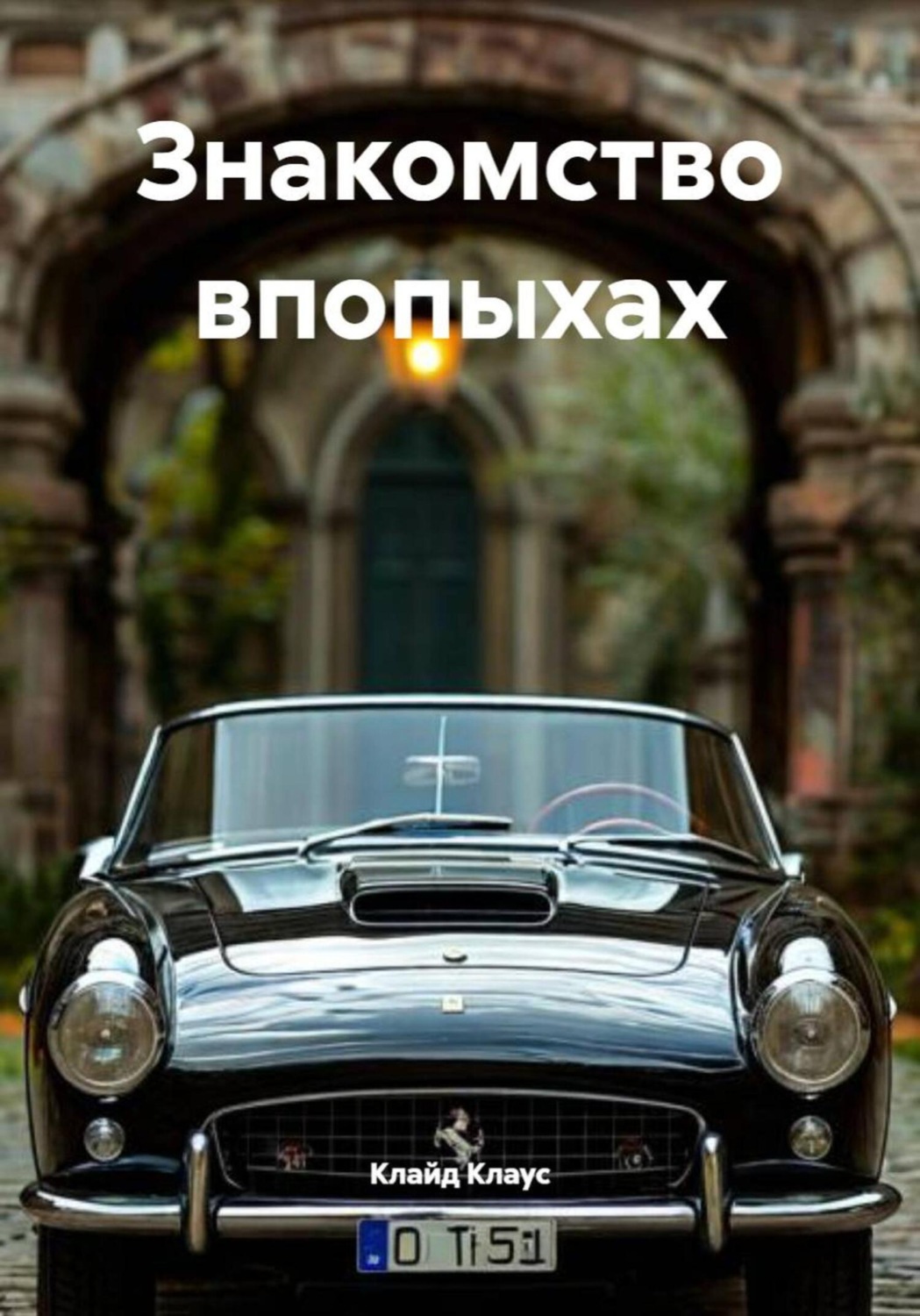 Обложка книги «Знакомство впопыхах»