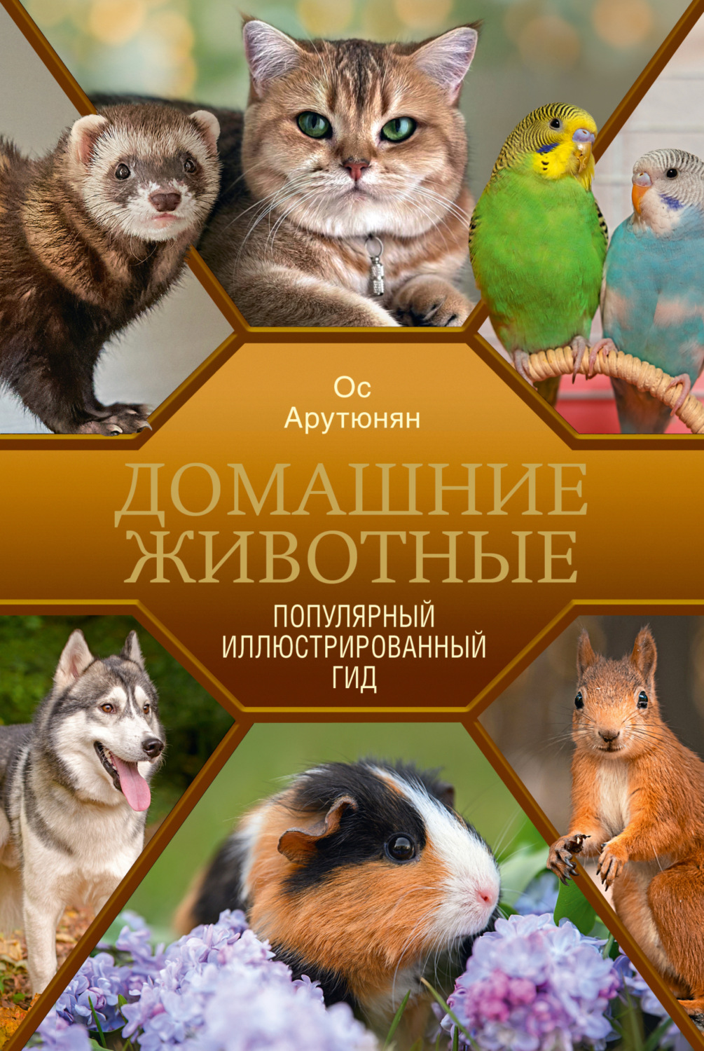 Обложка книги «Домашние животные. Популярный иллюстрированный гид»