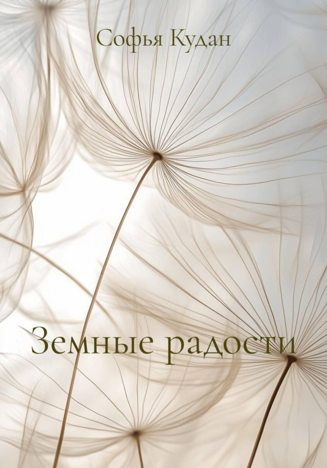 Обложка книги «Земные радости»