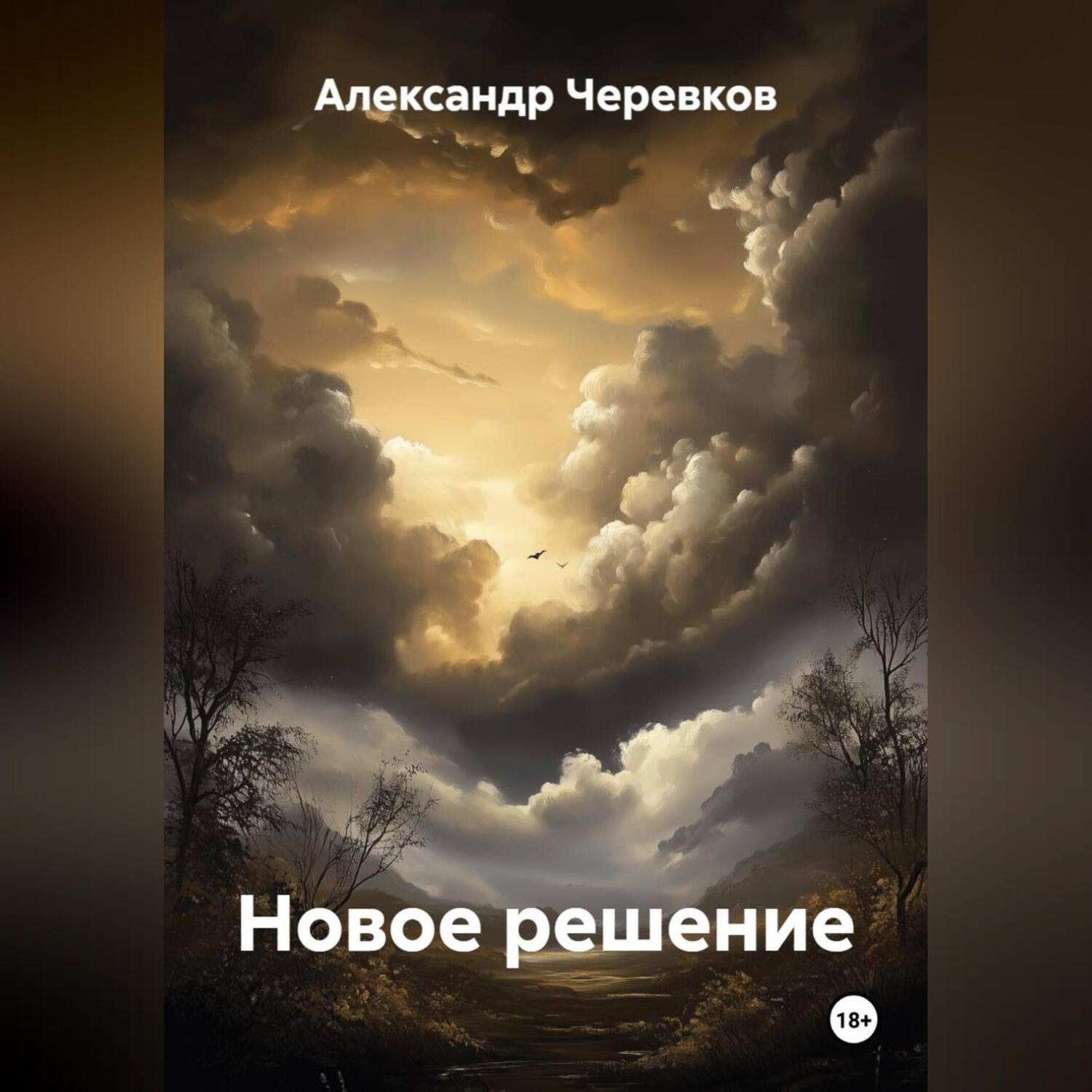 Обложка книги «Новое решение»