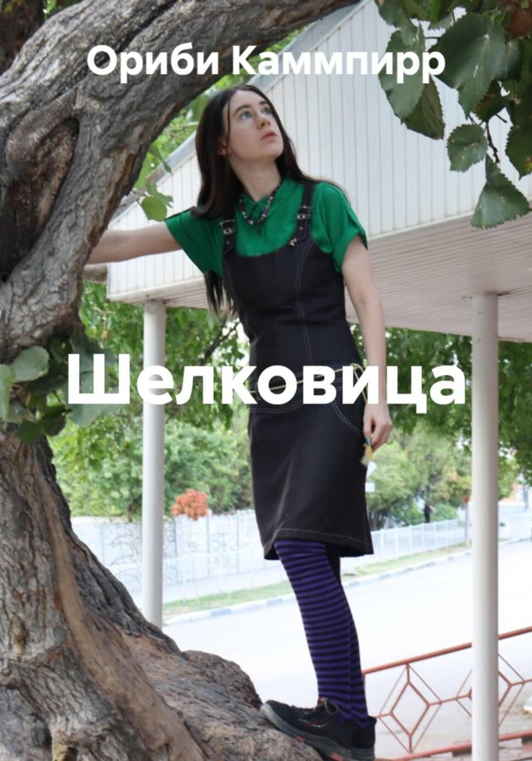 Обложка книги «Шелковица»