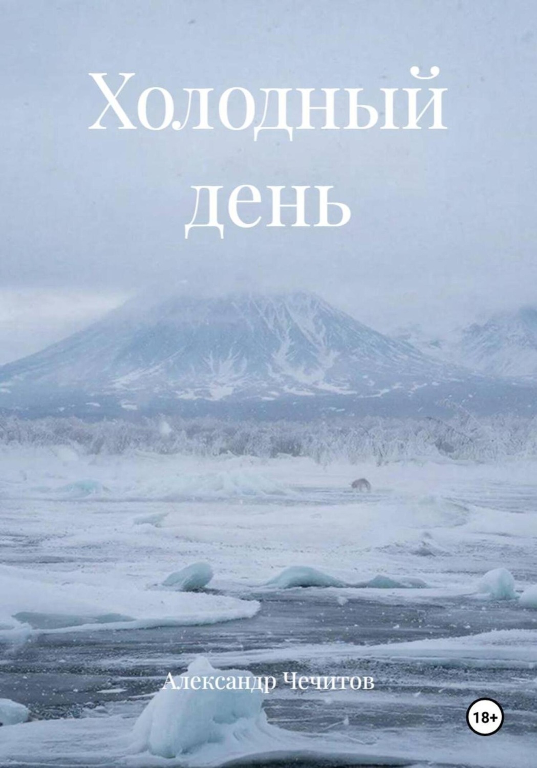 Обложка книги «Холодный день»