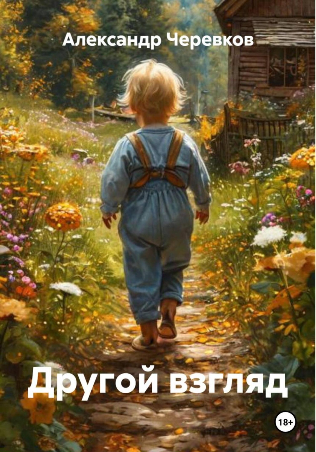 Обложка книги «Другой взгляд»
