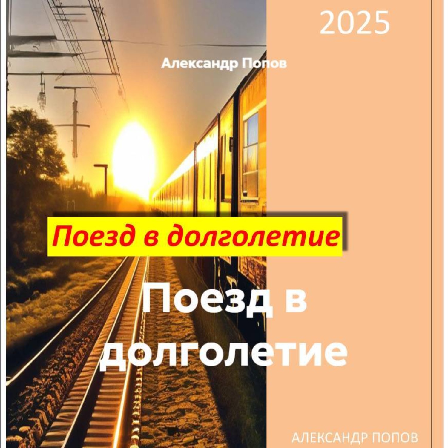 Обложка книги «Поезд в долголетие»