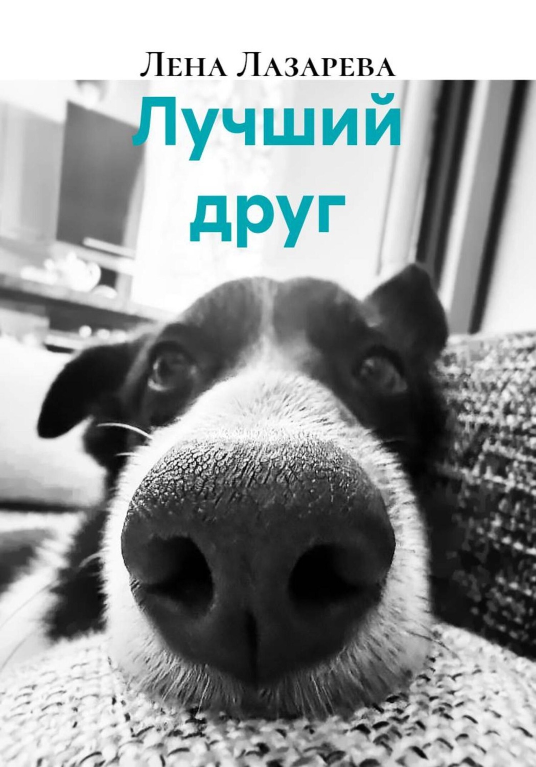Обложка книги «Лучший друг»