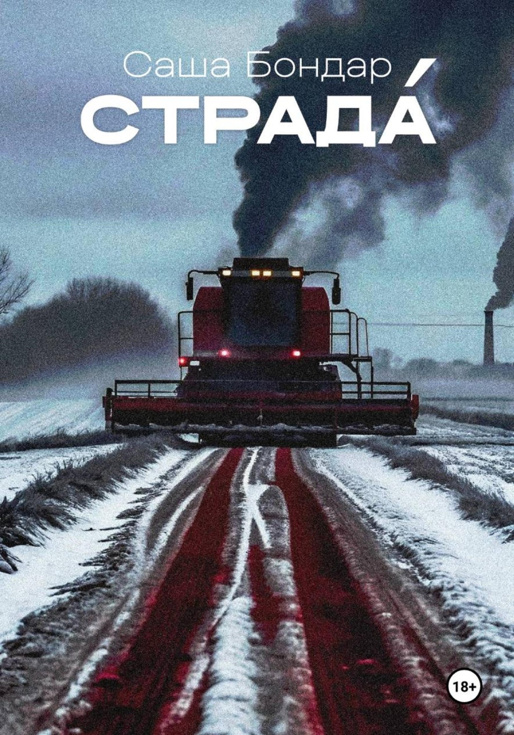 Обложка книги «Страда»
