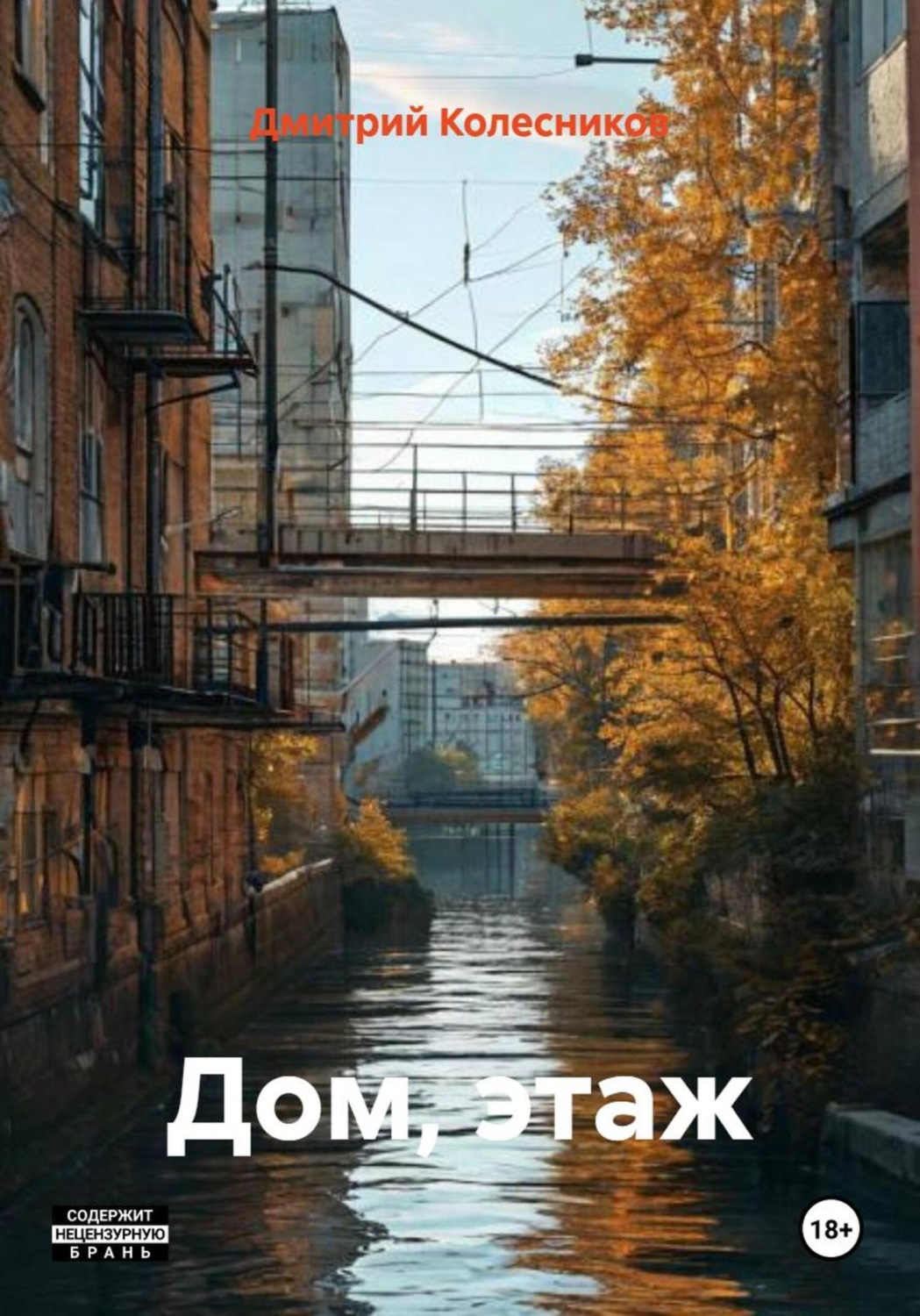 Обложка книги «Дом, этаж»