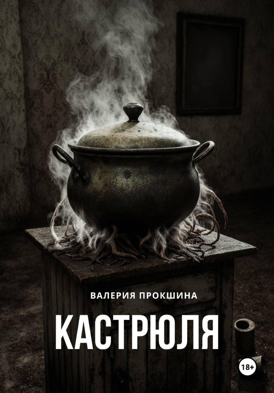 Обложка книги «Кастрюля»