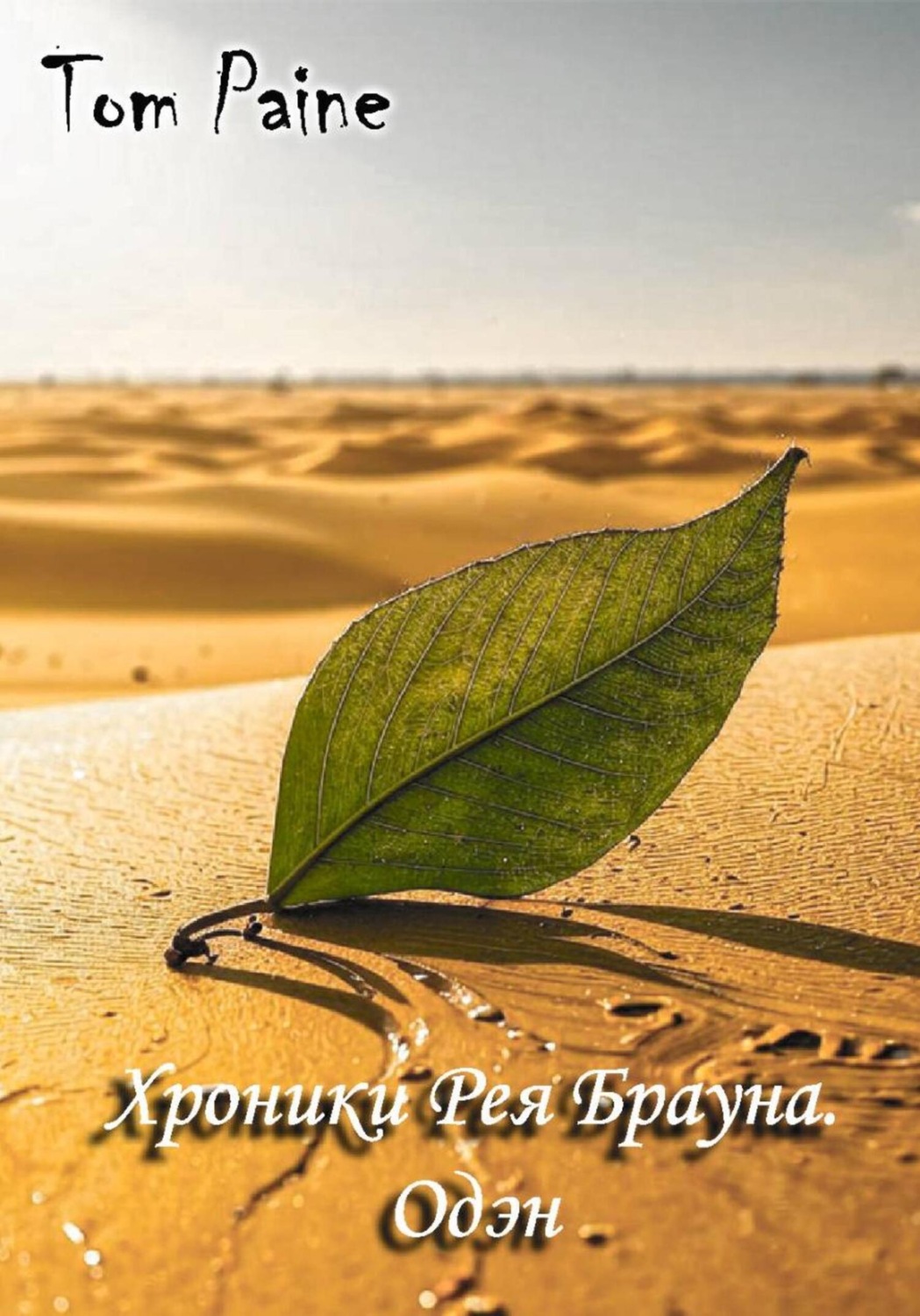 Обложка книги «Хроники Рея Брауна. Одэн»