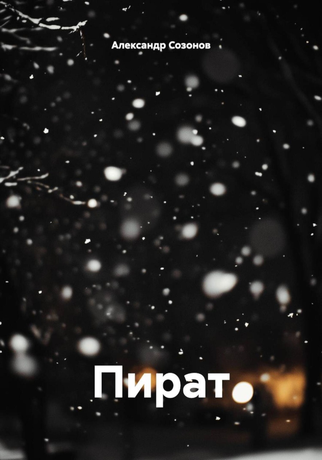 Обложка книги «Пират»