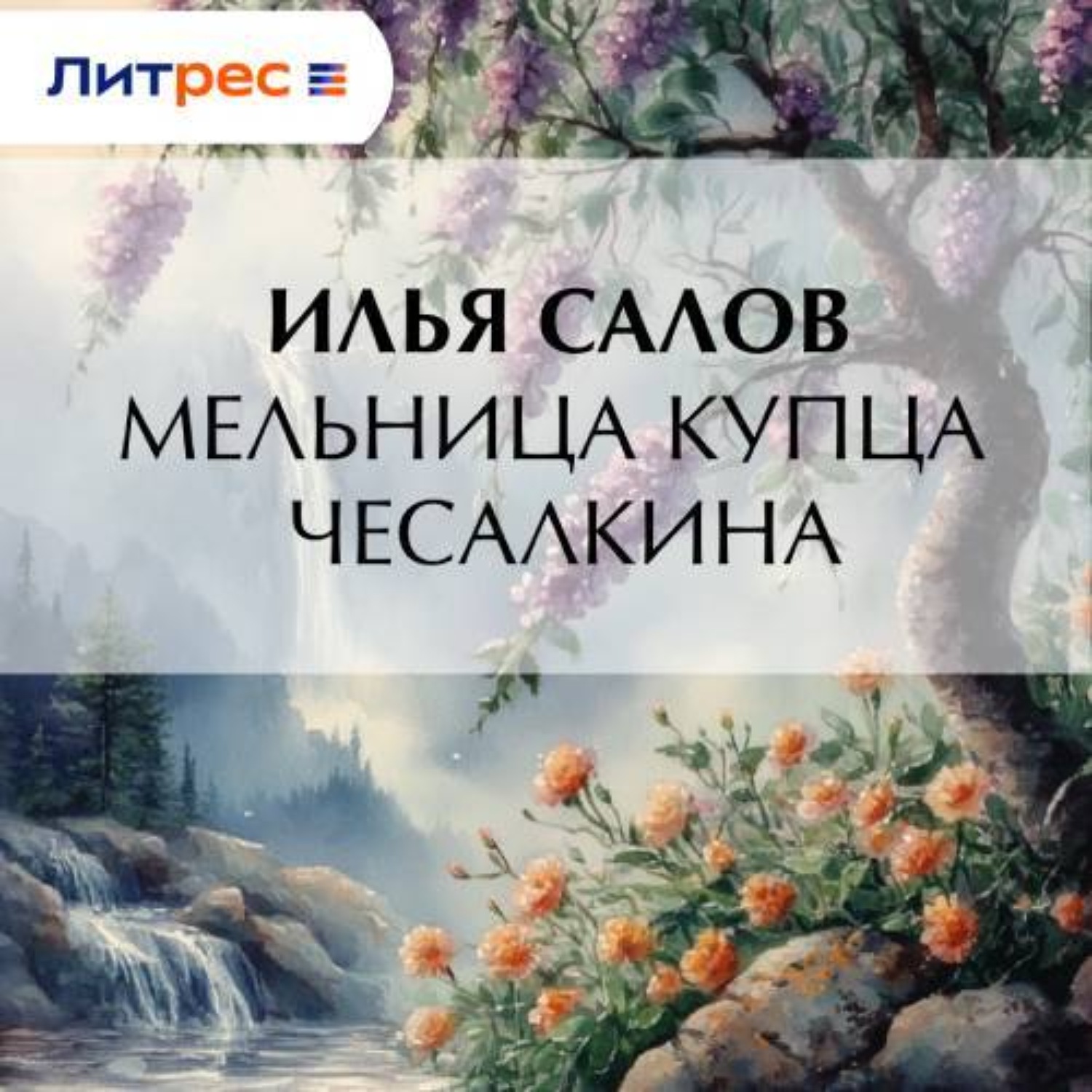 Обложка книги «Мельница купца Чесалкина»