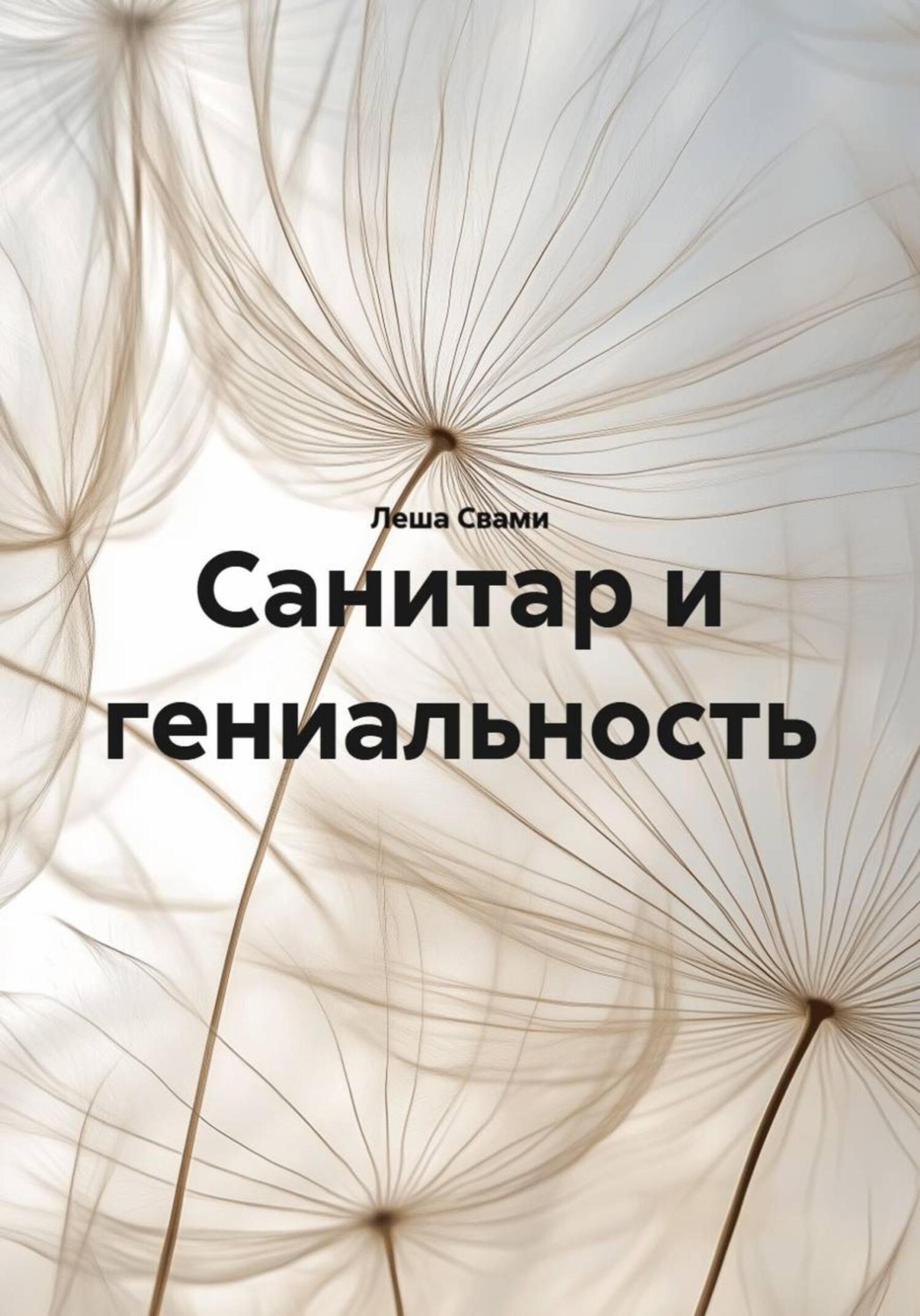 Обложка книги «Санитар и гениальность»