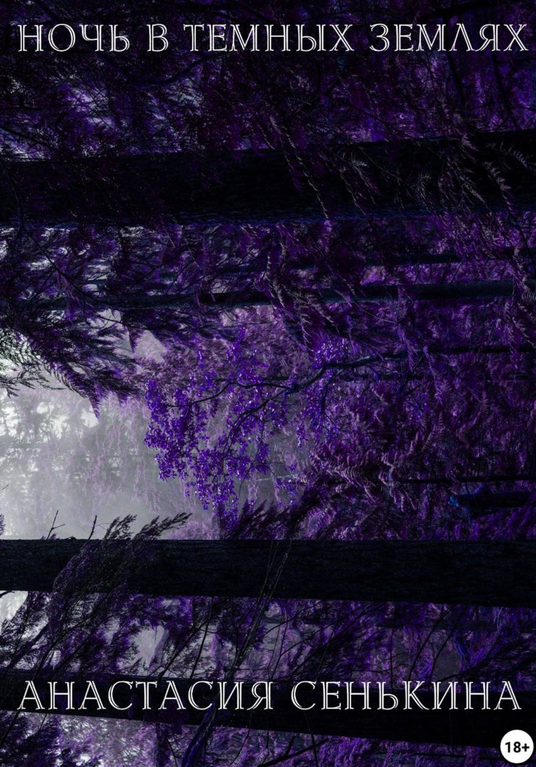 Обложка книги «Ночь в тёмных землях»